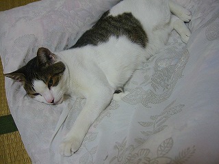 169-6928_IMG.jpg
