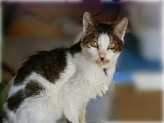 2012 12月12日 012.jpg