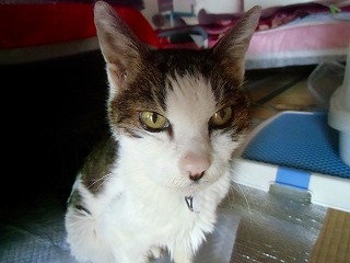 2012 12 31 002.jpg