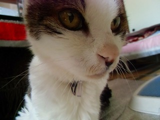 2012 12 31 006.jpg