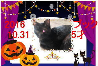 2016ハロウィン.jpg