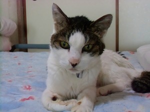 CIMG0003.jpg