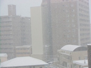 CIMG0029.jpg