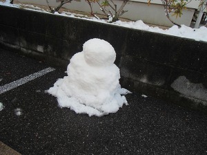 CIMG0029.jpg
