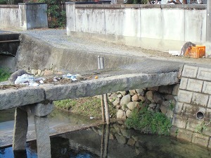 CIMG0147.jpg
