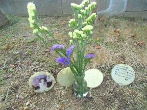 CIMG0229.jpg
