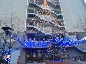 CIMG0284.jpg