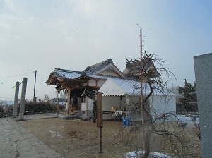 CIMG0310.jpg