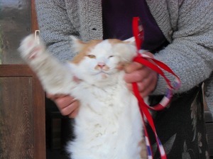 CIMG0507.jpg