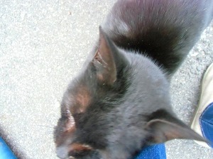 CIMG0578.jpg