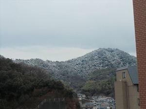 CIMG0774.jpg