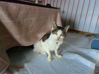 CIMG0965.jpg