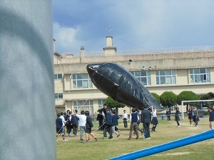 CIMG1709.jpg