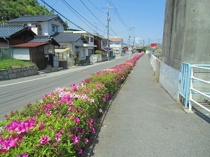CIMG2648.jpg