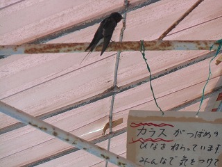 CIMG2697.jpg