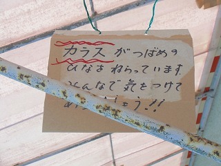 CIMG2700.jpg