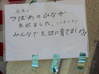 CIMG2701.jpg