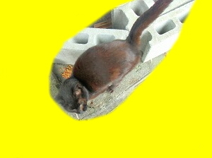 CIMG3647.jpg