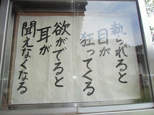 CIMG3873.jpg