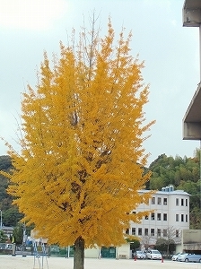 CIMG4808.jpg