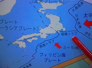 CIMG4924.jpg