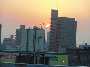 CIMG5008.jpg