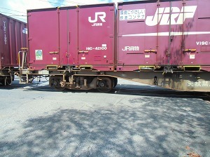 CIMG5071.jpg