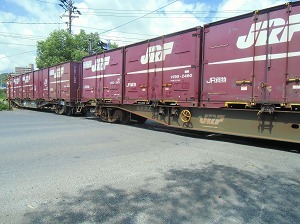 CIMG5072.jpg