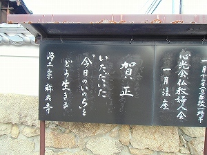 CIMG5084.jpg