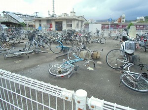 CIMG5118.jpg