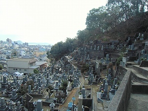 CIMG5175.jpg