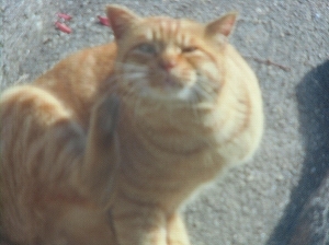 CIMG5197.jpg