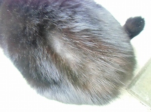 CIMG5405.jpg
