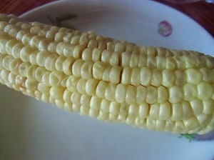 CIMG6030.jpg