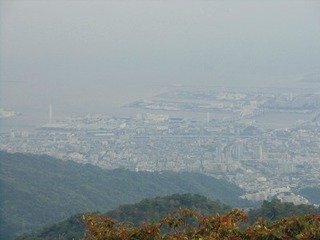 CIMG6460.jpg