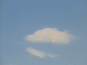 CIMG6770.jpg