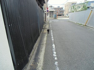 CIMG6843.jpg