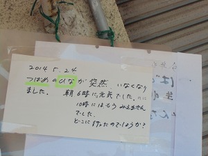 CIMG6858.jpg