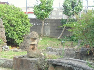 CIMG7566.jpg