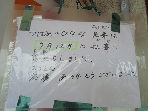 CIMG7682.jpg