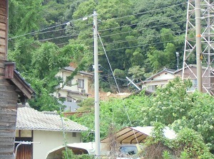 CIMG7834.jpg