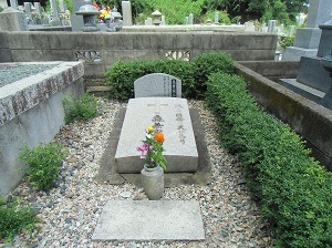 CIMG7864.jpg