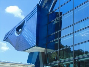 CIMG8772.jpg