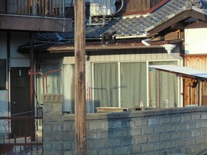 CIMG9018.jpg