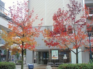 CIMG9449.jpg