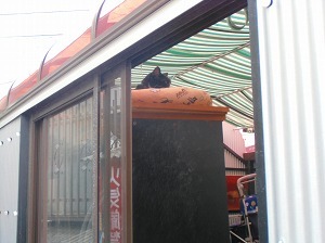 CIMG9509.jpg