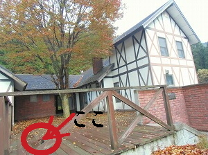 CIMG9529.jpg