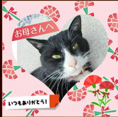 お母さん.jpg