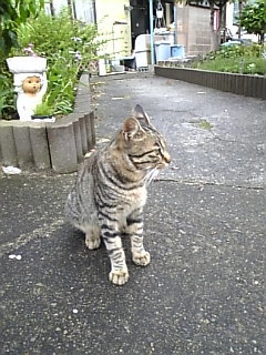 ちび 012.jpg