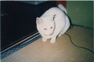 みる3.jpg
